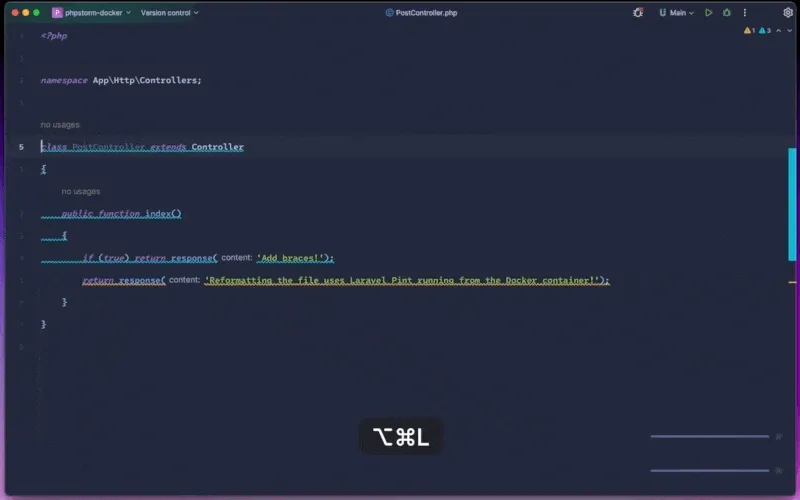 Reformat code with Docker Laravel Pint