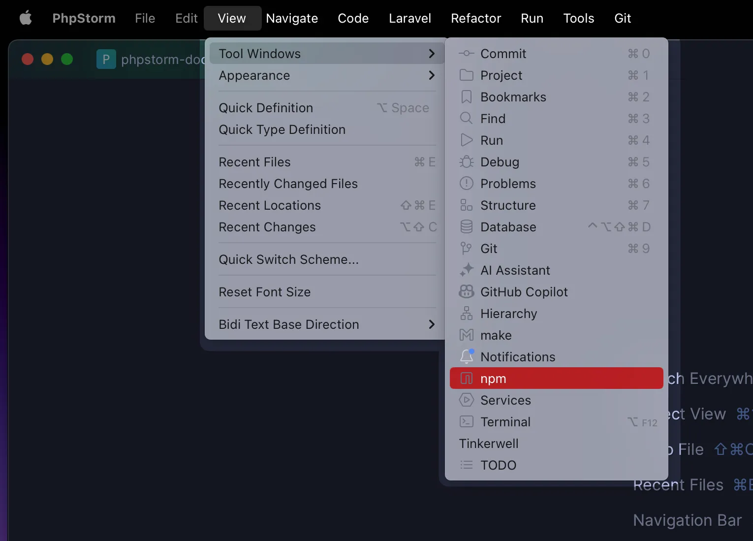 npm Tool window