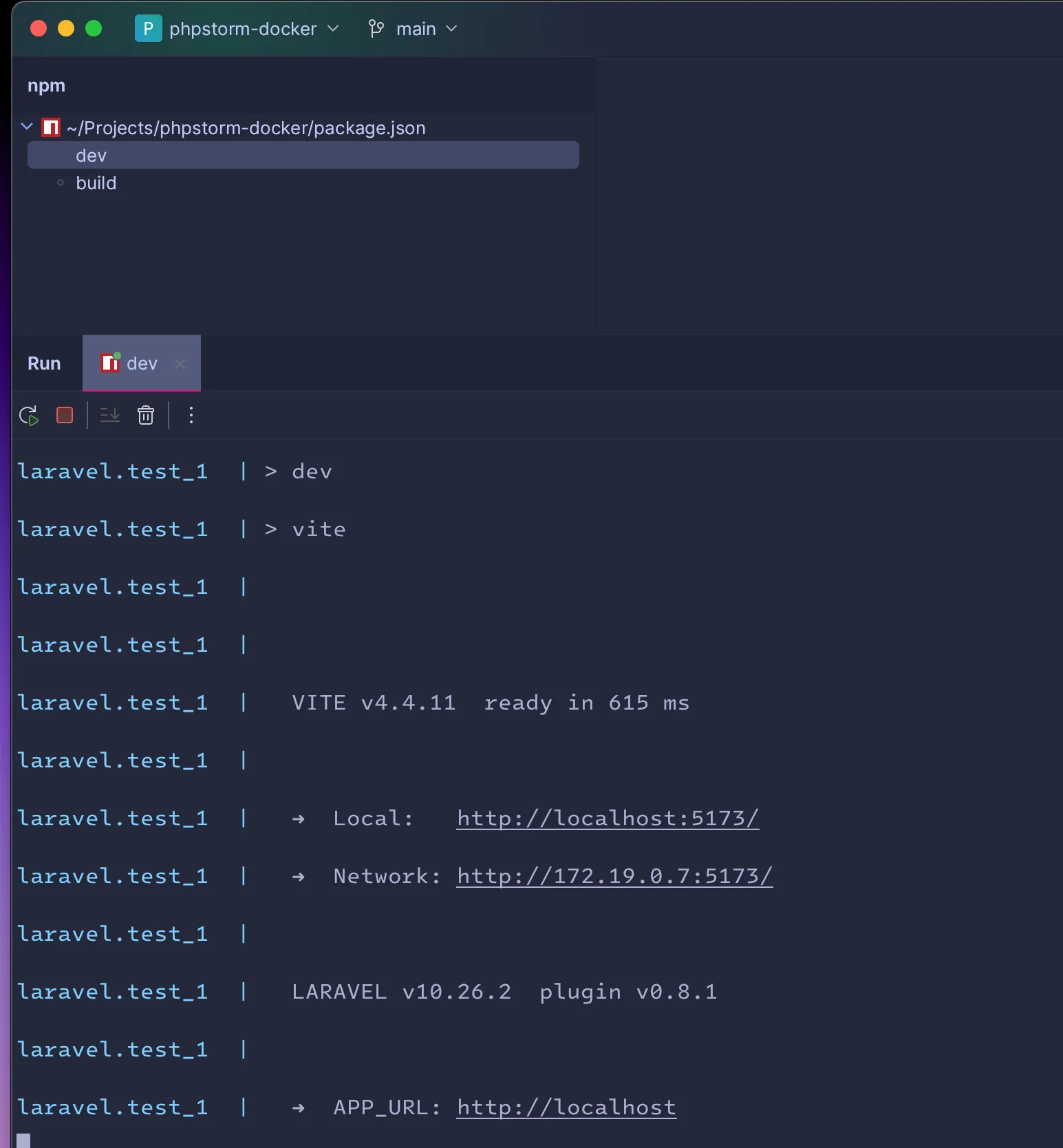 npm script running in PhpStorm